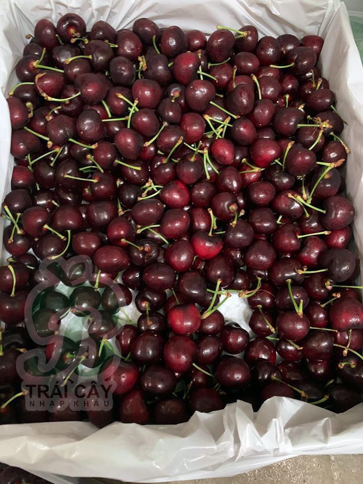 Cherry nhập khẩu giá rẻ