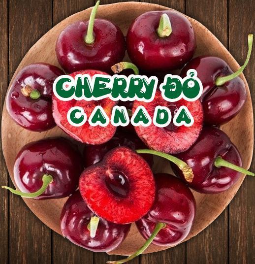 Cherry Đỏ Canada