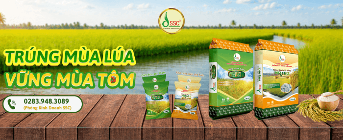 Công ty Cổ phần Giống cây trồng Miền Nam SSC