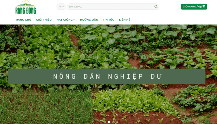 Công ty Hạt Giống Rạng Đông cung cấp hạt giống cây trồng